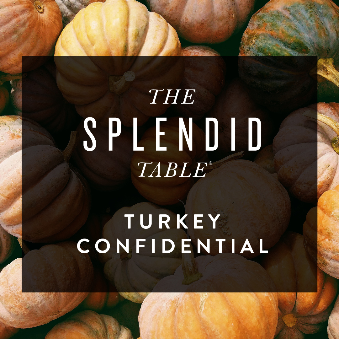 Turkey Confidential logo